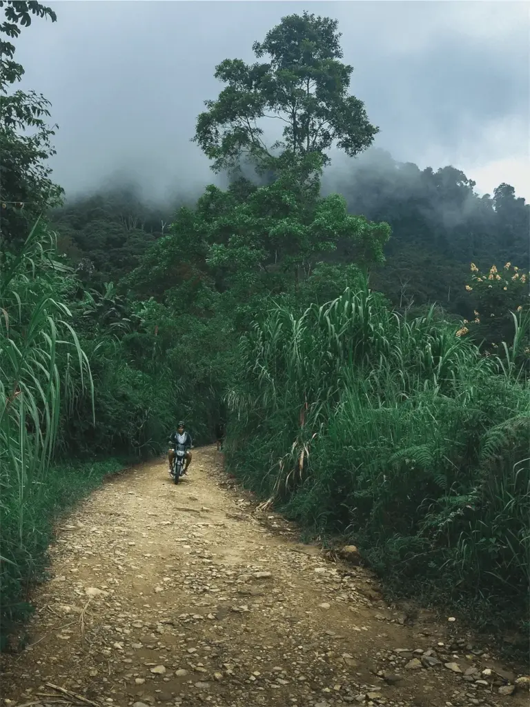 Biker in the woods of Minca, Colombia.